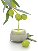 Olive Tree Face Cream